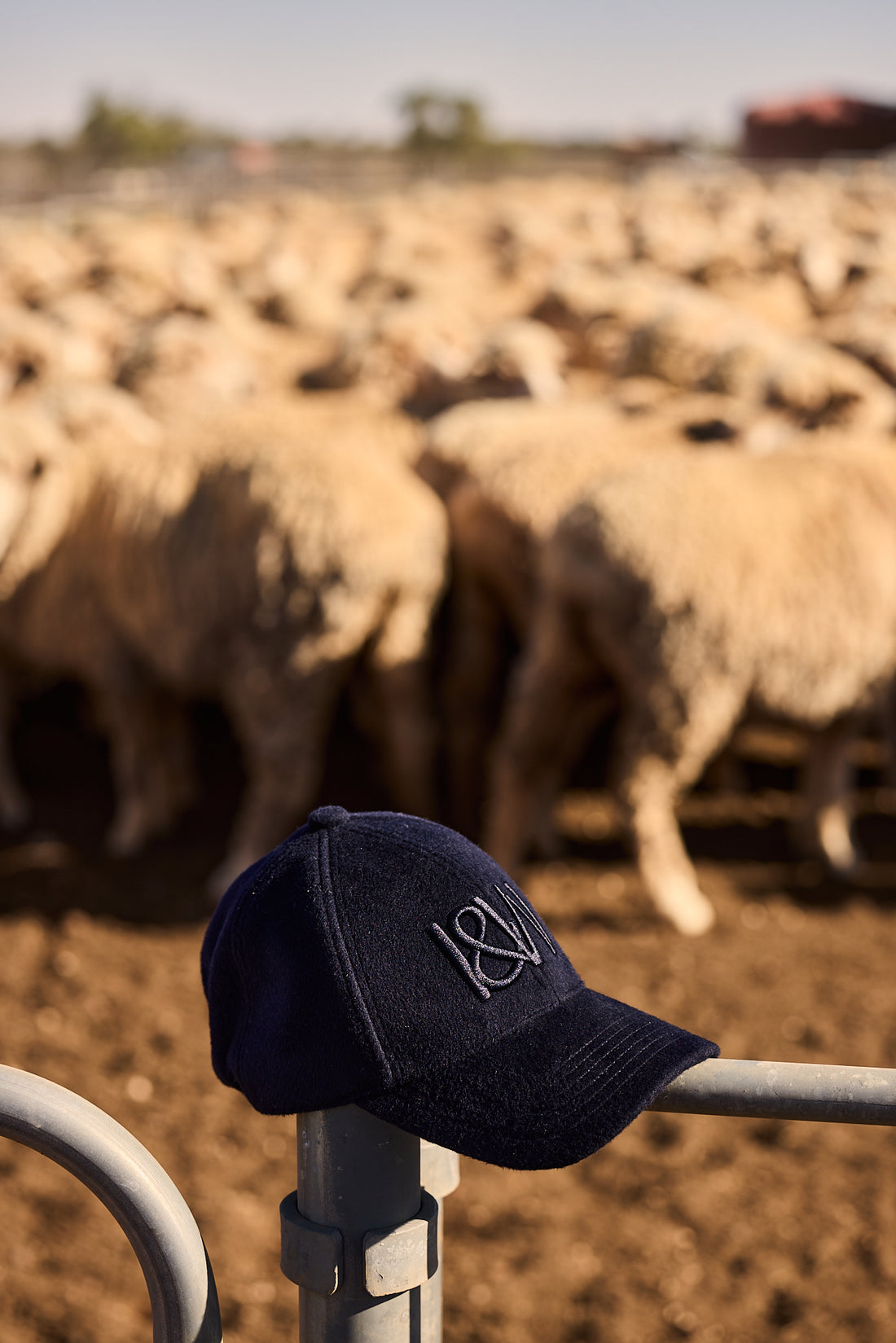 Navy blue wool cap for men placed on a fence, with a pastoral backdrop of sheep in a paddock.