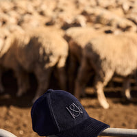 Navy blue wool cap for men placed on a fence, with a pastoral backdrop of sheep in a paddock.