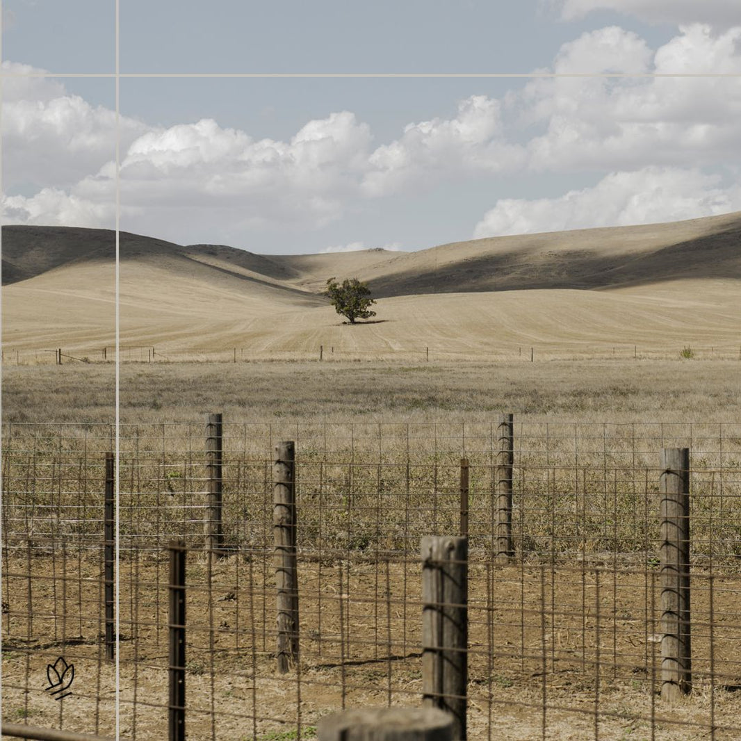 Wonderfully Wooly: Iris & Wool’s Sustainable Merino Journey