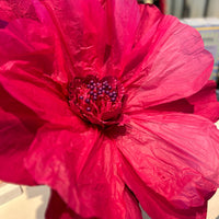 Red paper flower made from eco-friendly Saa paper with adjustable petals.