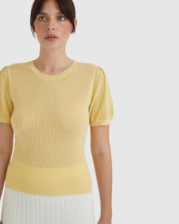 Ruby Pointelle knitted top in maize with crew neckline and pointelle details.