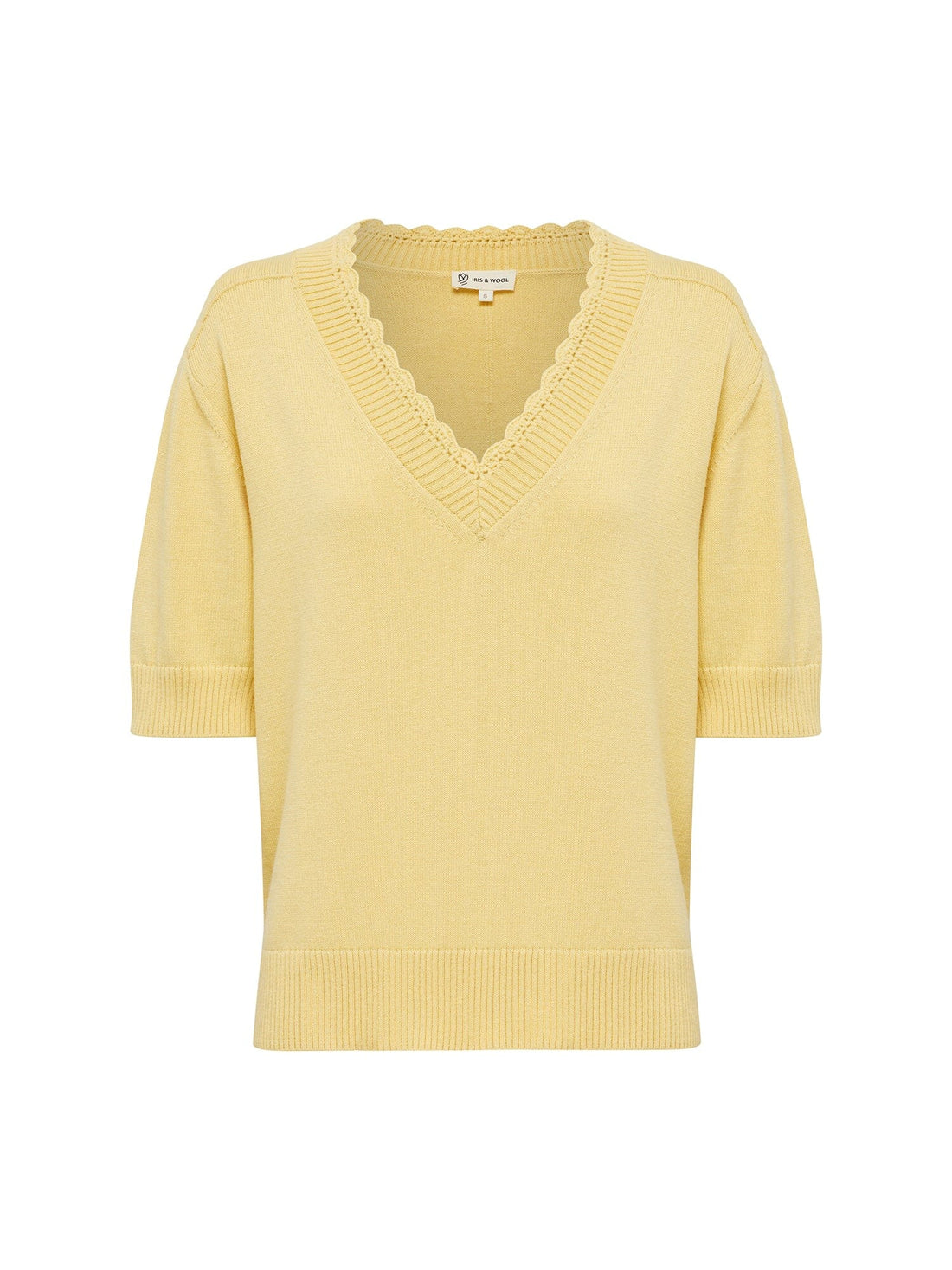 Elsa Crochet Top Shirts & Tops Iris and Wool 