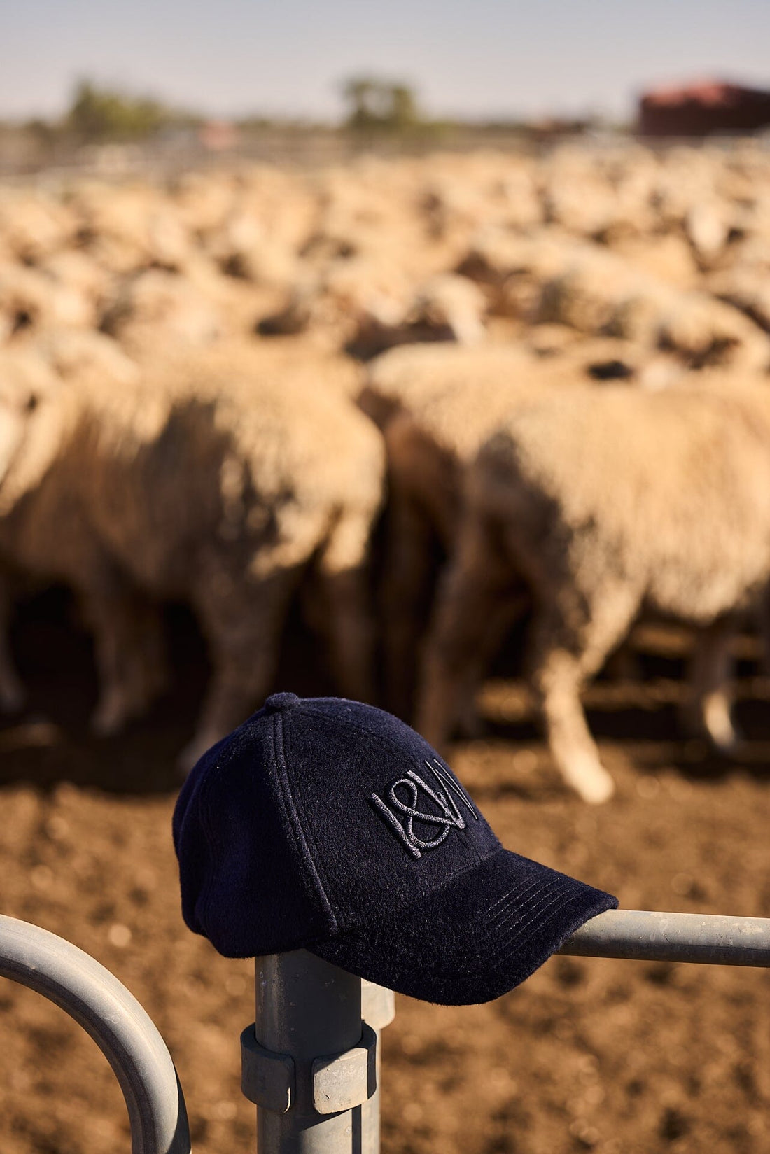 Men's Wool Cap Iris and Wool 